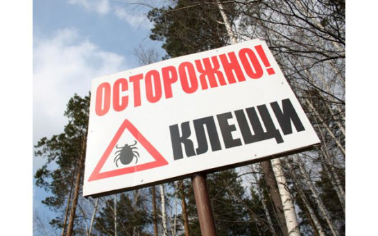 О профилактике клещевого энцефалита