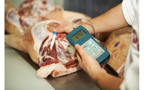 О контроле за качеством и безопасностью мясных продуктов