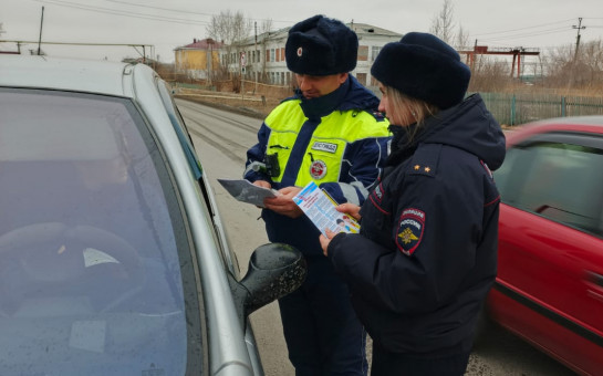 Профилактическое мероприятие «Пристегни, тех кто дорог!»